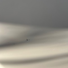 シャープ　2016年　大容量8KG 全自動洗濯機　ESｰGV8A−Pの画像