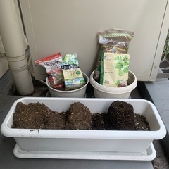 【2/26まで】家庭菜園セット
