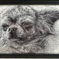 ペン画☆2枚セットの画像
