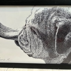 ペン画☆2枚セットの画像