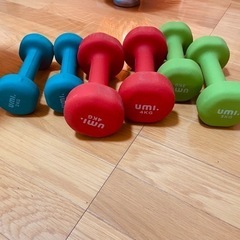 ダンベル2kg3kg4kgセット