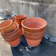 植木鉢（大小様々）全部で400円の画像