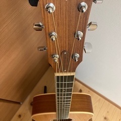 Taylor DN4 テイラー ドレッドノートの画像