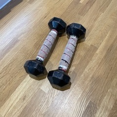 【１月で掲載終了！最終値下げ】ダンベル2kg×2本