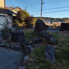 庭石いっ〜ぱいですの画像