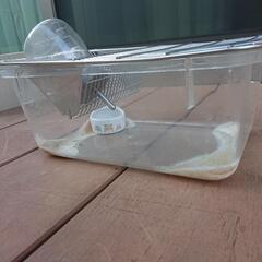 マウスゲージの画像