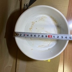 受け皿　4つの画像