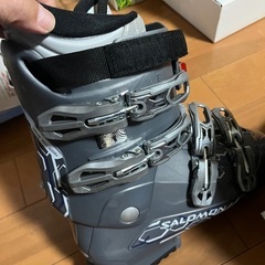 サロモンスキー靴
