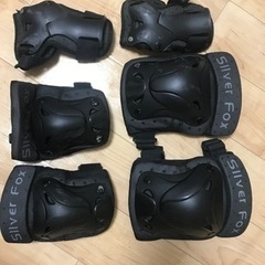 PRO TEC ヘルメット　SILVER FOX プロテクターの画像