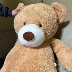 飼い主決まりました。くまのぬいぐるみ　特大の画像
