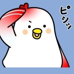 兵庫県60歳〜67歳の独身男女の語らい倶楽部