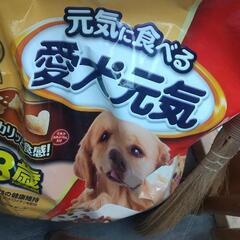 ドックフード 13歳以上 の画像