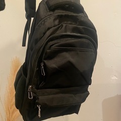 至急！収納抜群リュック
