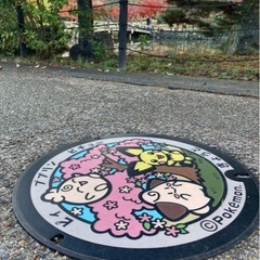 いっしょにポケ活しませんかっ♡ポケモンフレンド募集♡