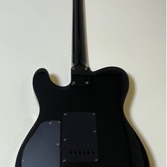 FERNANDES TEJ-95S 18V仕様 SUSTAINER ローラーナットの画像