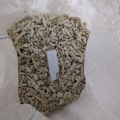 豆サンゴ　8 L ほど　無料です