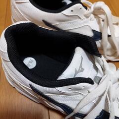 【決まりました】河南中学校　外用シューズの画像