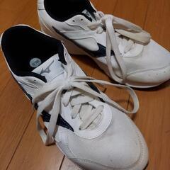 【決まりました】河南中学校　外用シューズ
