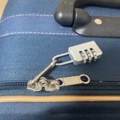 キャリーバッグの画像