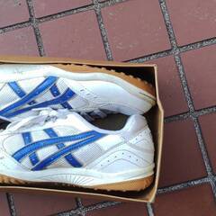 ASICSアシックス　体育館シューズ　26CM