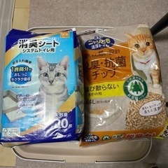 猫　トイレの画像