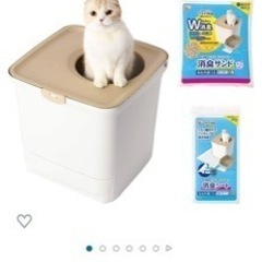 猫　トイレの画像