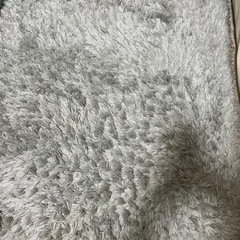 24日まで！Francfranc カステ ラグs ミントグリーンの画像