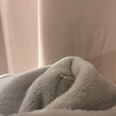 スワロフスキー Swarovski 『Frisson リング』 の画像