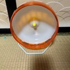 ハムスター ゲージ （大きいサイズ） セットの画像