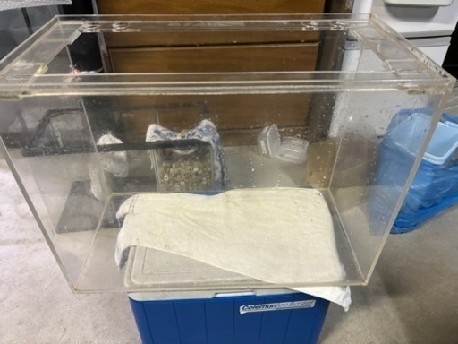 60センチアクリル水槽(60×30×45) (引き取り限定)