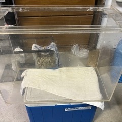 60センチアクリル水槽(60×30×45) (引き取り限定)の画像