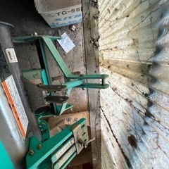 ライムソワー タカキタの画像