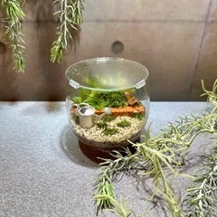 苔テラリウム ワークショップ