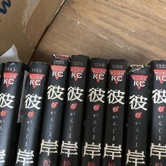 漫画 コミック 彼岸島 10冊セットの画像