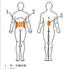 スポーツ フィットネス、トレーニングの画像