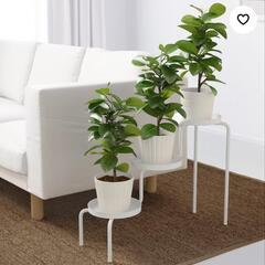 IKEA プラントスタンドの画像