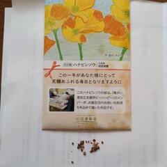 お話し中花の種　ハナビシソウ