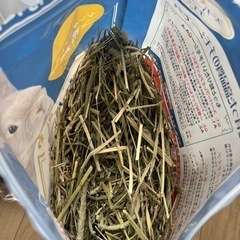 【お取引中】ラビットフード チモシー さしあげますの画像