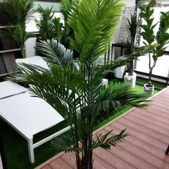 ⑫【処分価格】新品 アレカヤシ(160cm)　人工観葉植物 フェ...