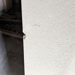 サイディング　小屋の囲い等にの画像