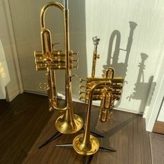 トランペット生徒募集🎺