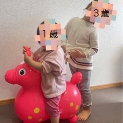 ロディ RODY ピンクの画像