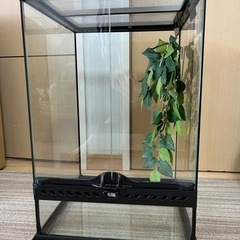 GEX グラステラリウム3045 爬虫類ケージ 美品です