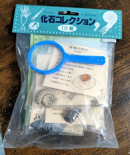 【恐竜好きの方へ】化石コレクション\u0026ファイル　※両方未開封です！