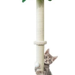猫グッズ2点セットの画像
