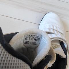 アディダス　野球 トレーニングシューズ 24cmの画像