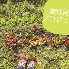自然菜園に興味のある方！奈良県橿原市にある放棄地の田んぼと畑を自...