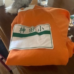 神田小学校体育着新品長袖