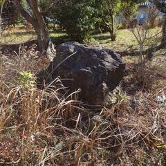 生活雑貨 家庭用品 ガーデニング