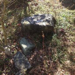 生活雑貨 家庭用品 ガーデニング